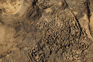 Ocean Stone Texture Natural