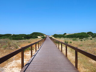 Beautiful island with wild dunes Sao Jacinto or San Antonio in Portugal