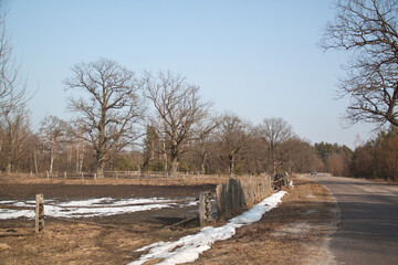 winter day in the village, the road through the forest near the old fence