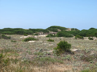 Fototapeta na wymiar Beautiful island with wild dunes Sao Jacinto or San Antonio in Portugal