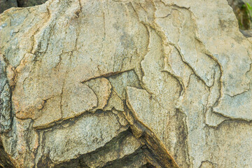 close-up of a stone texture