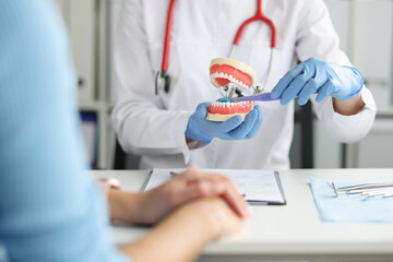 Dentist shows model of jaw and gives lesson on how to properly care for your teeth and oral cavity