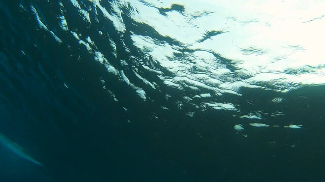 Underwater view of young man surfing in South Male Atoll