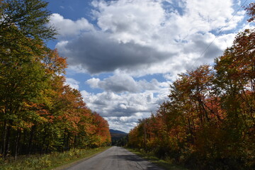 The road to the church in autumn, Sainte-Apolline, Québec, Canada