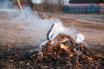 a fire of fallen leaves and debris