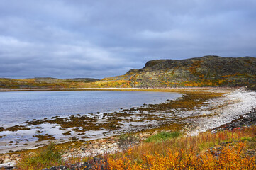 Barents Sea in autumn on the Kola Peninsula in northern Russia