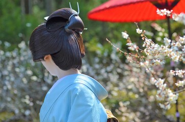 Beautiful geisha back and plum blossoms in full bloom