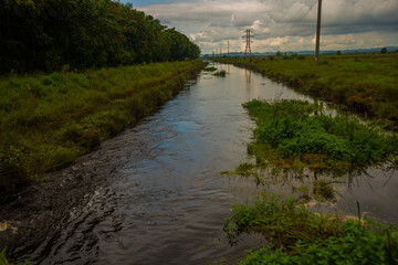 KOBULETI, GEORGIA: The river near the national reserve with rare Ispani marshes.