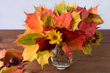 beautiful autumn bouquet of bright multicolored maple leaves in glass vase on wooden table. Yellow-orange-red color scheme. Close-up