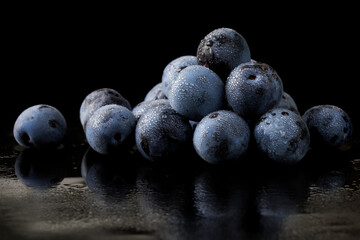 Many small wild plums, covered with drops of moisture or dew, against a black background. Gardening and gathering