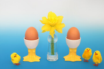 Fresh eggs in novelty egg cups for breakfast with toy chicks and daffodil flower in a glass vase. Symbols of Spring and Easter natural healthy food concept on gradient blue background.
