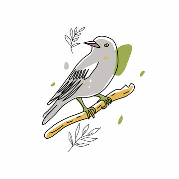 Bird illustration. Collection of cute hand drawn bird doodles. Line style in minimalism on white vector picture