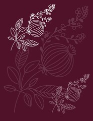 Rose hip flower graphic illustration. 