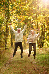 Fototapeta premium Portrait of happy senior woman and man