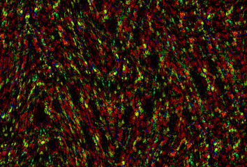 赤や緑や黒のしぐれ模様