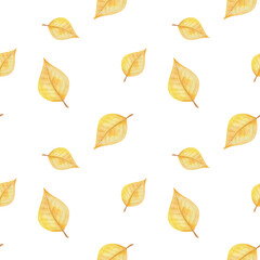 Watercolor seamless pattern from hand painted illustration of birch tree leaves in autumn yellow colors isolated on white. Forest nature print for fall season fabric textile, design cards, packaging