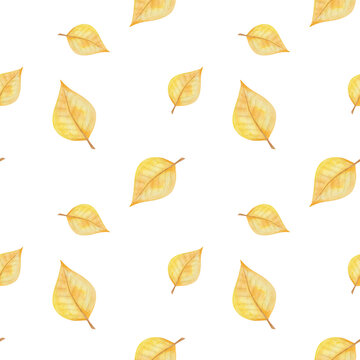 Watercolor seamless pattern from hand painted illustration of birch tree leaves in autumn yellow colors isolated on white. Forest nature print for fall season fabric textile, design cards, packaging