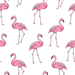 Seamless pattern background with pink flamingo, vector EPS 10