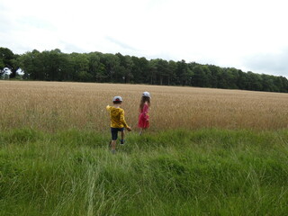 Fototapeta na wymiar Two white kids walking through farm fields, summer time in England