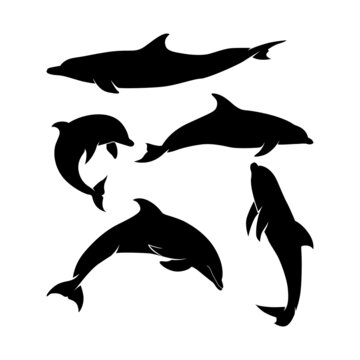 Dolphins Silhouettes Set , Jump Stand Diving For Logo Icon Design Inspiration