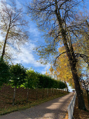 road in the park