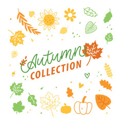 Trendy Autumn Collection banner for decoration design. Template for any purposes. Fashion For Kids, Wedding Business. Hand Drawn Lettering. Vector isolated illustration