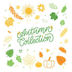 Trendy Autumn Collection banner for decoration design. Template for any purposes. Fashion For Kids, Wedding Business. Hand Drawn Lettering. Vector isolated illustration
