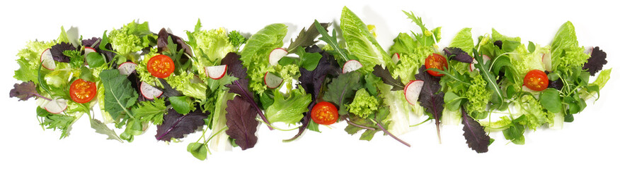Salat, Blattsalat Panorama  freigestellt - Hintergrund weiß