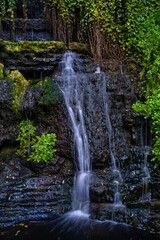 Fototapeta na wymiar detail small waterfall between ferns and black rocks, rupit catalonia, spain