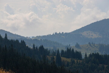 Plakat mountain slopes in the Ukrainian Carpathians. mountain tops and forests on a background of blue sky