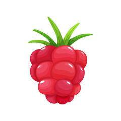Colorful fruit. Raspberry icon.  illustration berry and fruit in flat cartoon style, isolated on white. Healthy lifestyle or vegetarian food concept