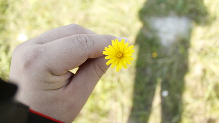 person holding a flower