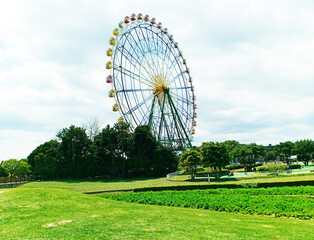 Big wheel in the park