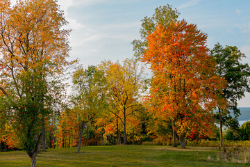 Obraz premium Fall landscape with colors, fall weather, walk in the fall