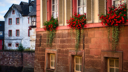 House in Saarburg with geraniums