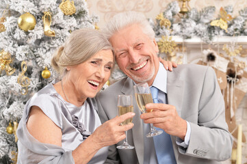 Portrait of old couple with Christmas present