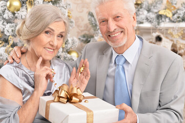 Portrait of old couple with Christmas present