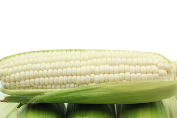 white corn with copy space on white background