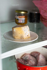 Spoiled cheese covered with mold on a shelf in the refrigerator.