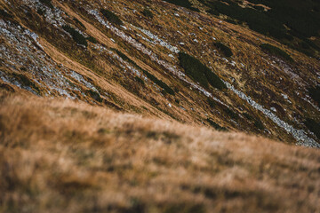 Sunny autumn day in the mountains - Tatra Mountains