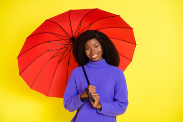 Photo of charming lady hold red umbrella beaming smile wear purple sweater isolated yellow color background