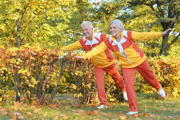 Fototapeta premium fit senior couple exercising in autumn park