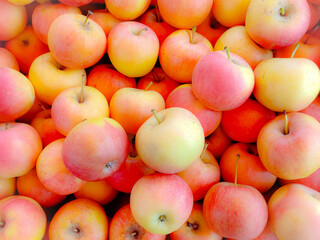 Stock photo of Apple