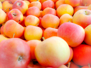 Red and yellow Apple 