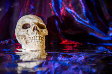 Creepy plastic skull on iridescent red and blue background