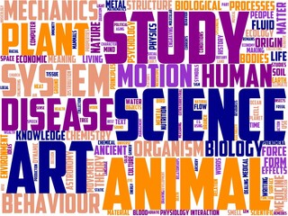 meconology typography, wordcloud, wordart, menology,calendar,year,date