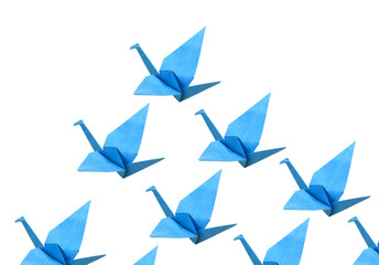 Blue origami bird background