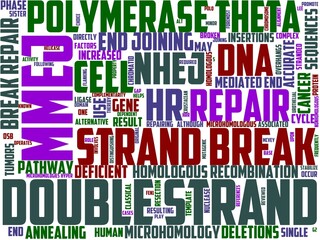 microhomology typography, wordcloud, wordart, micro,homous,cell,biology