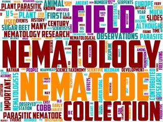 nematology typography, wordcloud, wordart, nematology,insect,green,bug