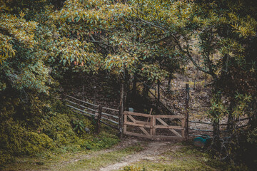 old wooden fence